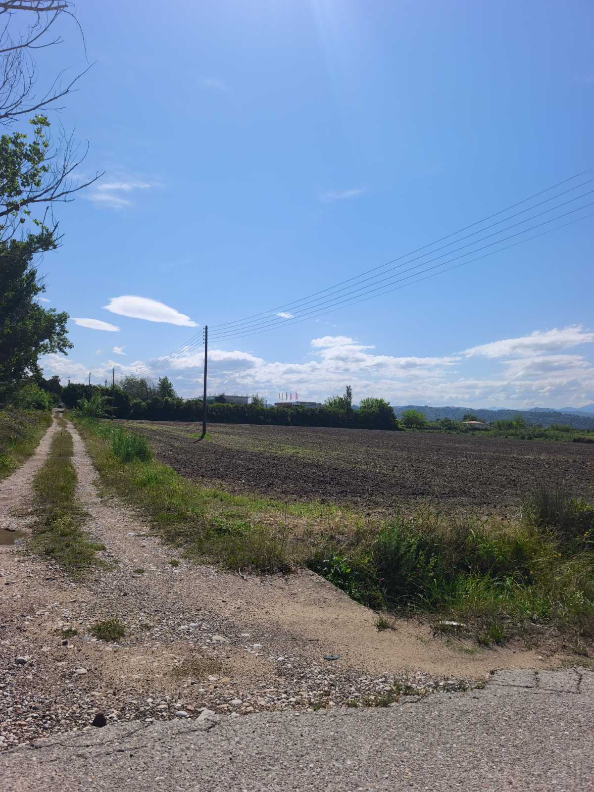 Αγροτεμάχιο  σε πλειστηριασμό Municipality of Ancient Olympia