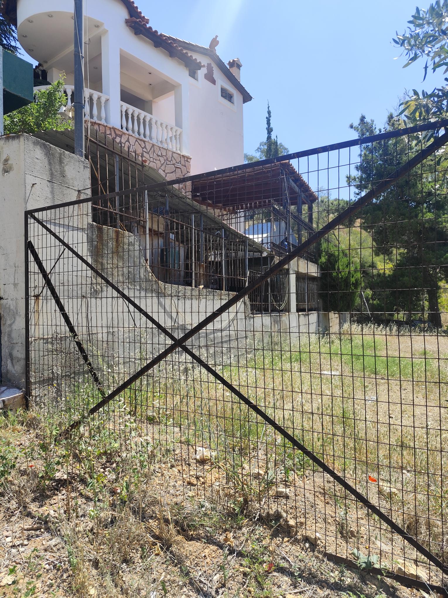 photo1