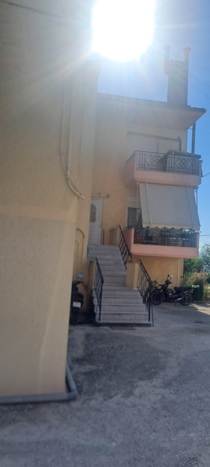 photo2