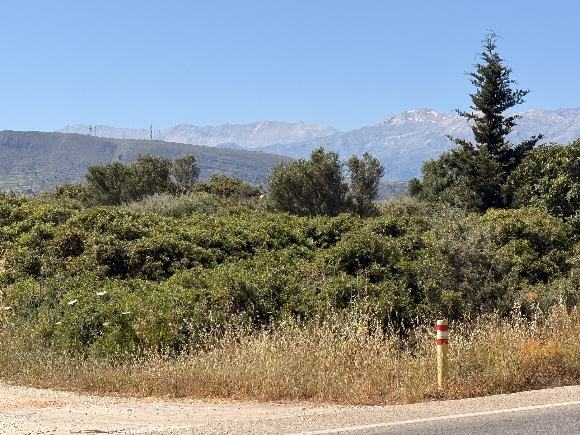 Αγροτεμάχιο 693 sq.m. σε πλειστηριασμό Municipality of Chania