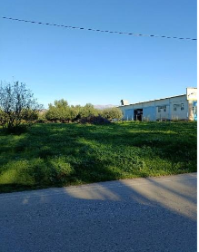 Οικόπεδο  σε πλειστηριασμό Municipality of Western Achaia