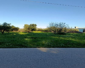 photo3