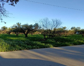 photo2