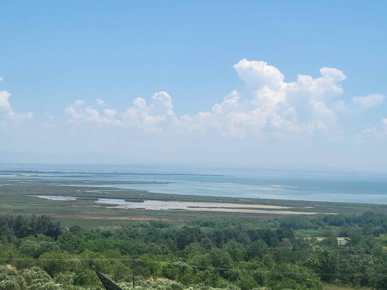 photo7