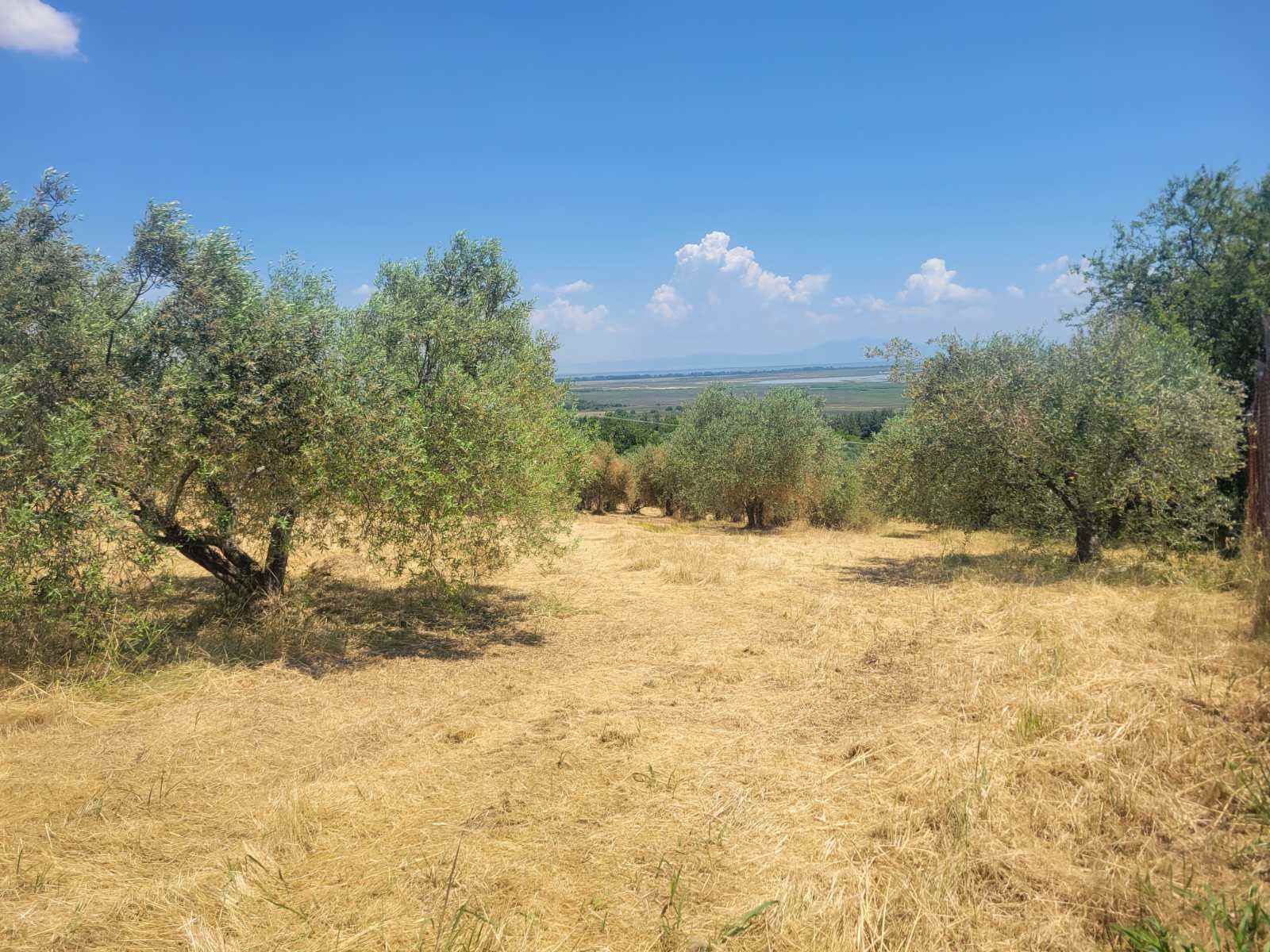 photo4