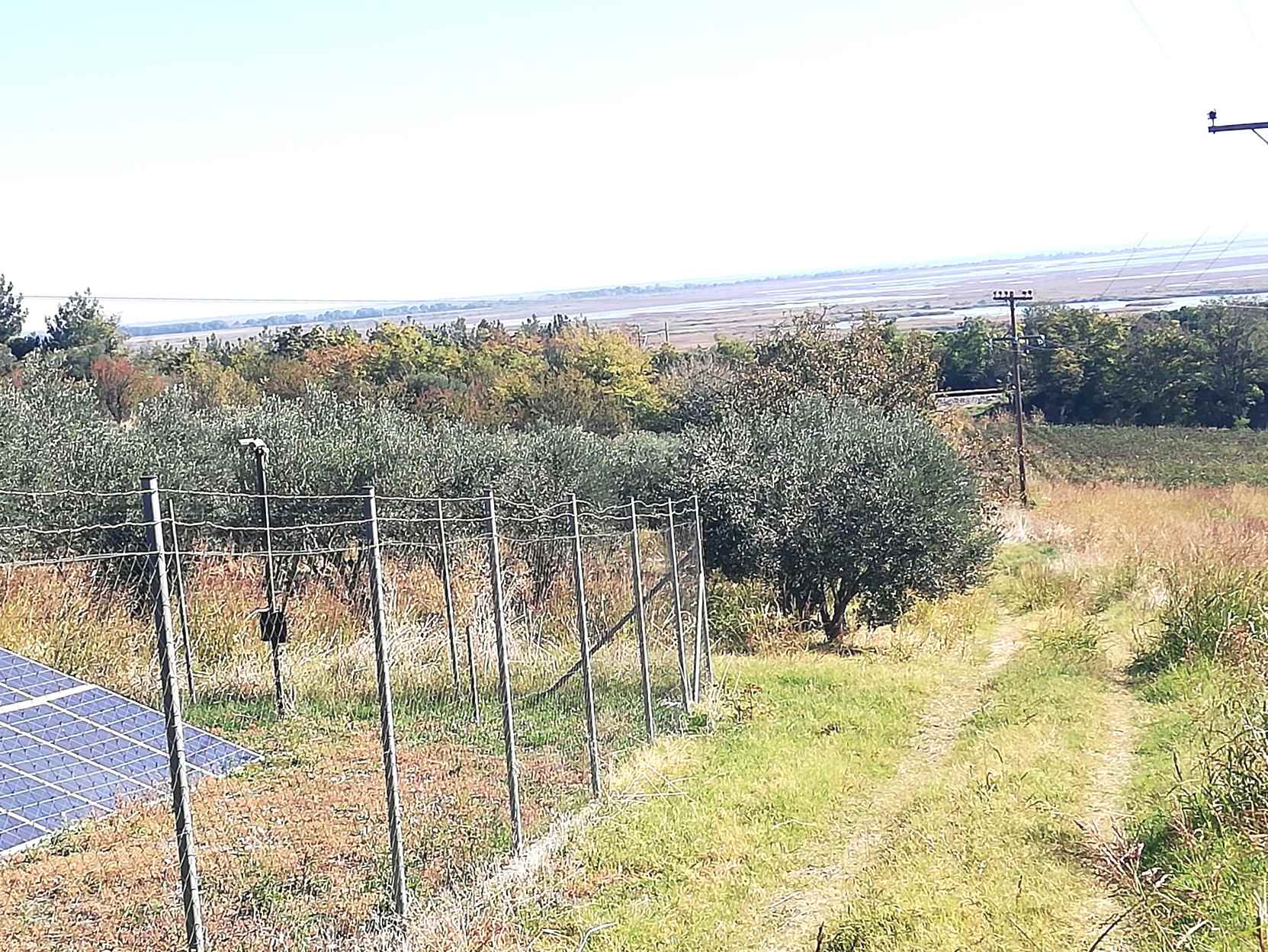Αγροτεμάχιο 0 sq.m. σε πλειστηριασμό Municipality of Pydna - Kolindros