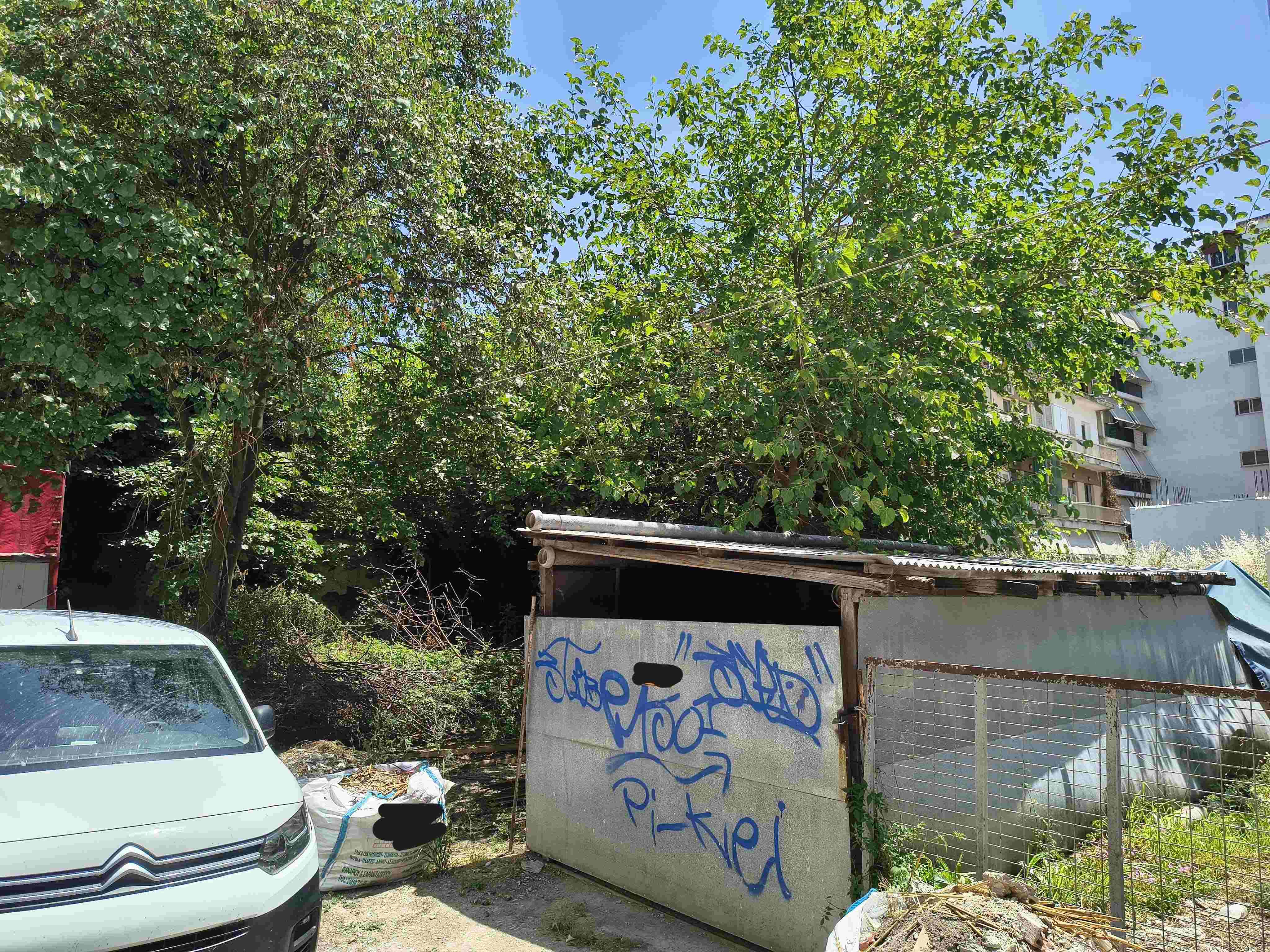 photo2