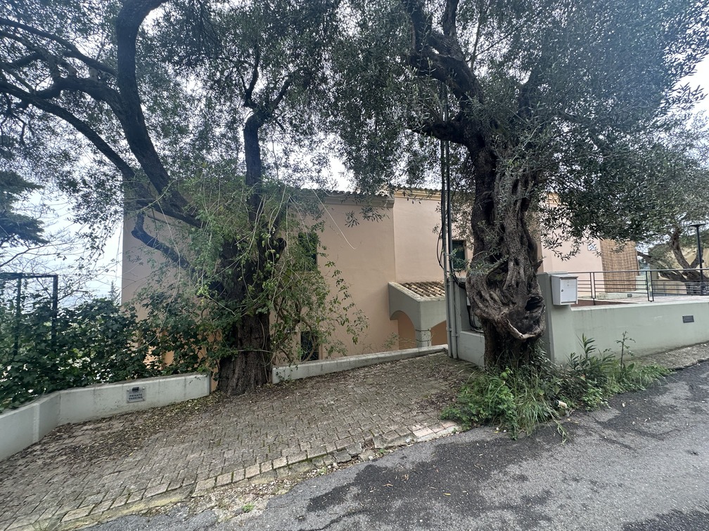 photo1