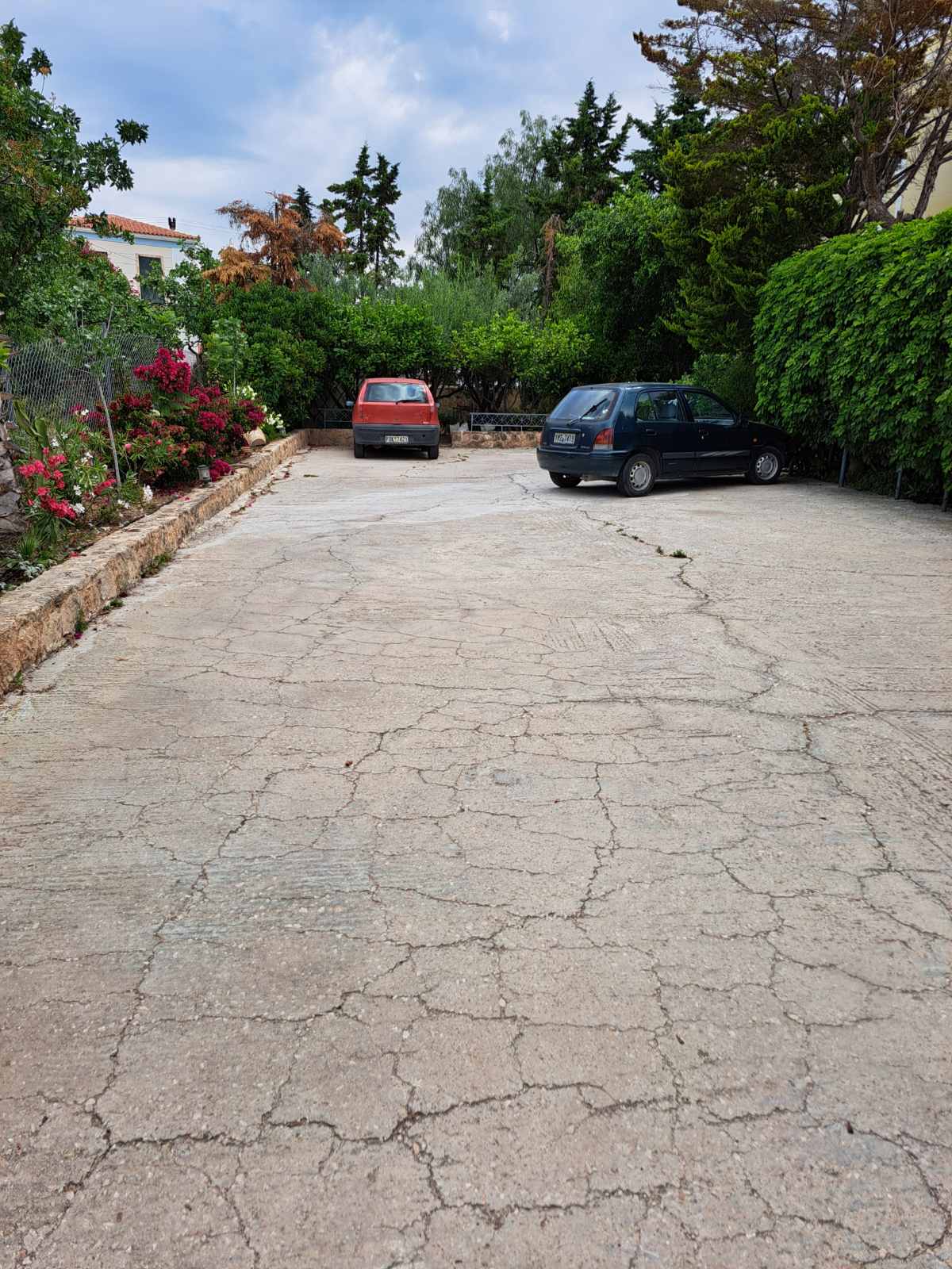 photo10