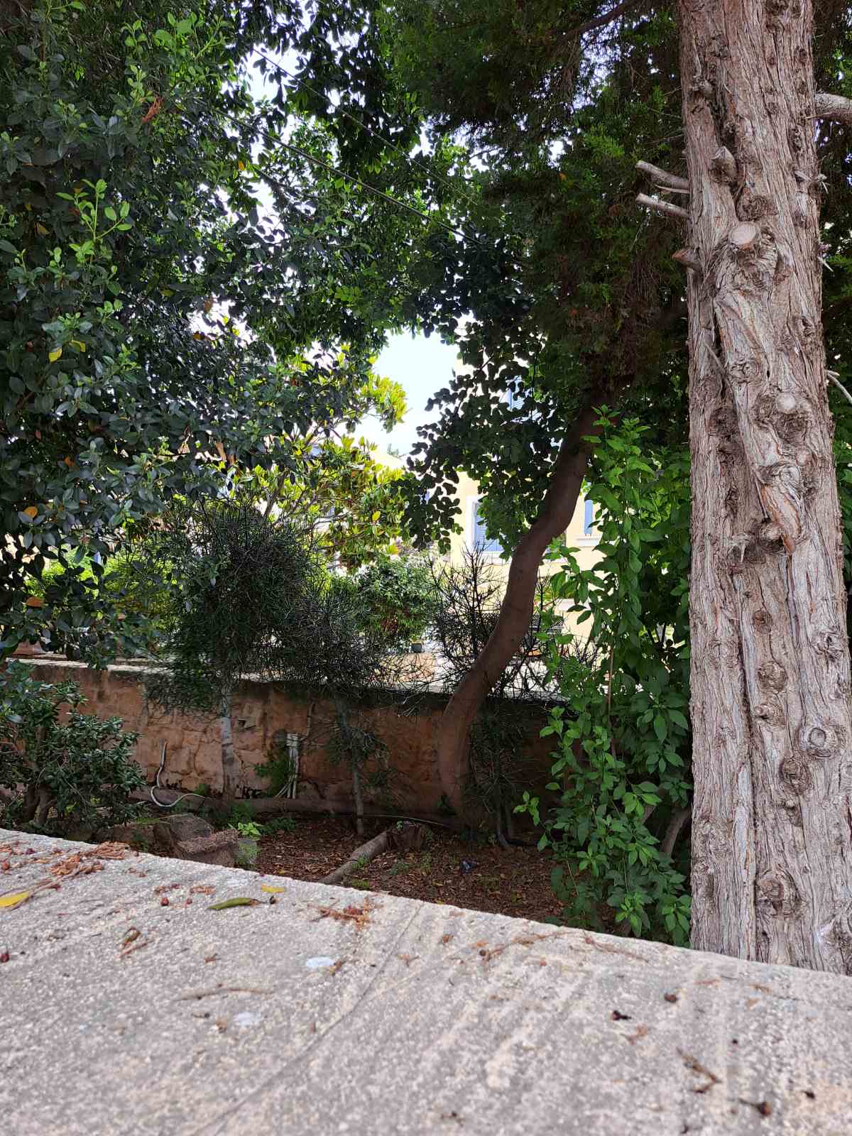 photo12