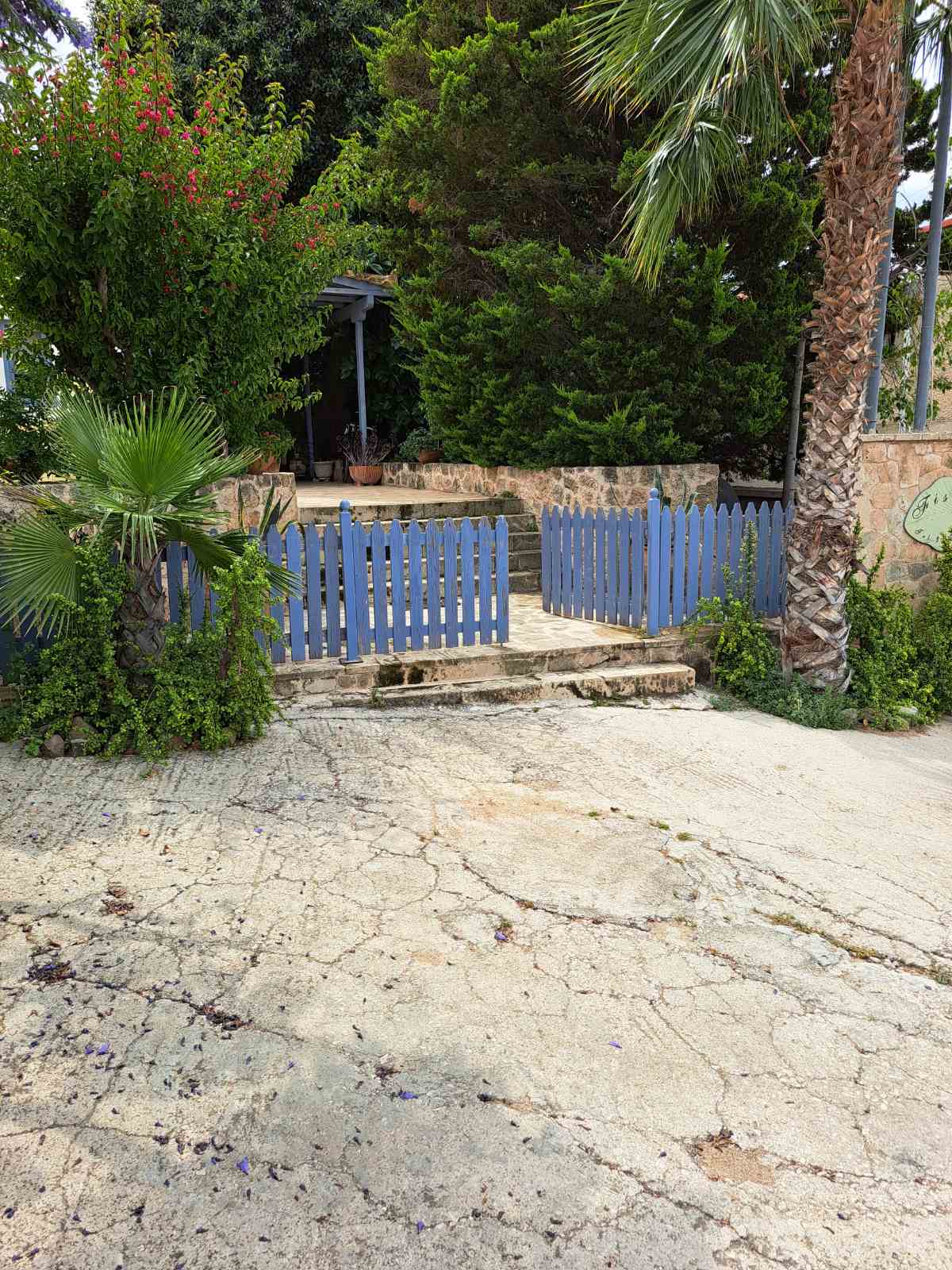 photo6