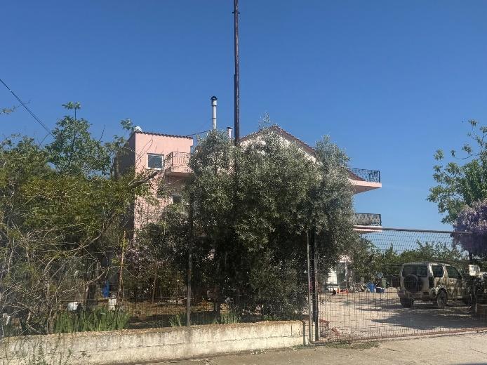 Αγροτεμάχιο με κτίσμα  σε πλειστηριασμό Municipality of Komotini