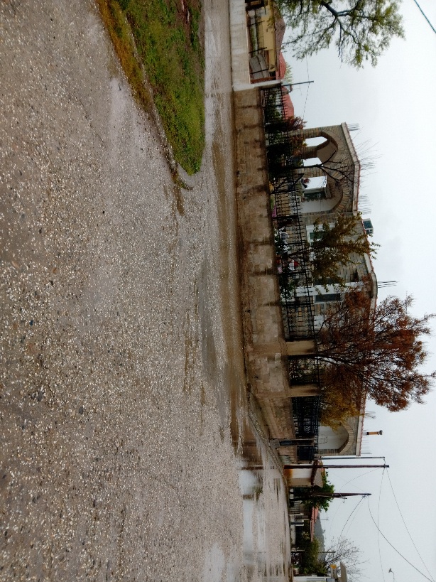 photo1