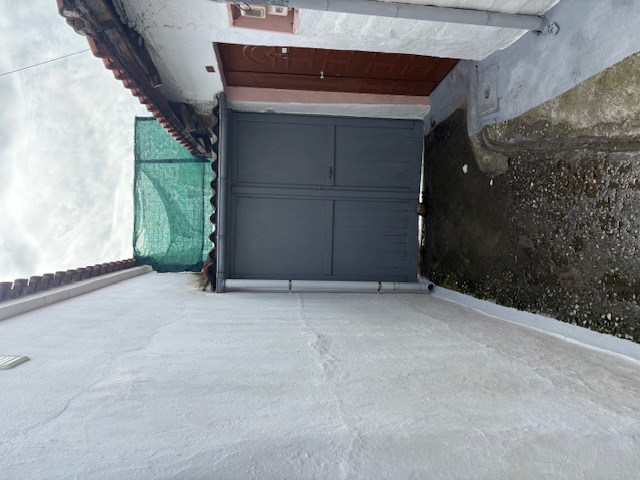 photo1