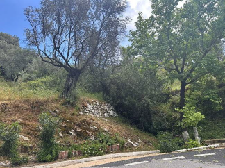 Αγροτεμάχιο  σε πλειστηριασμό Municipality of Lesvos