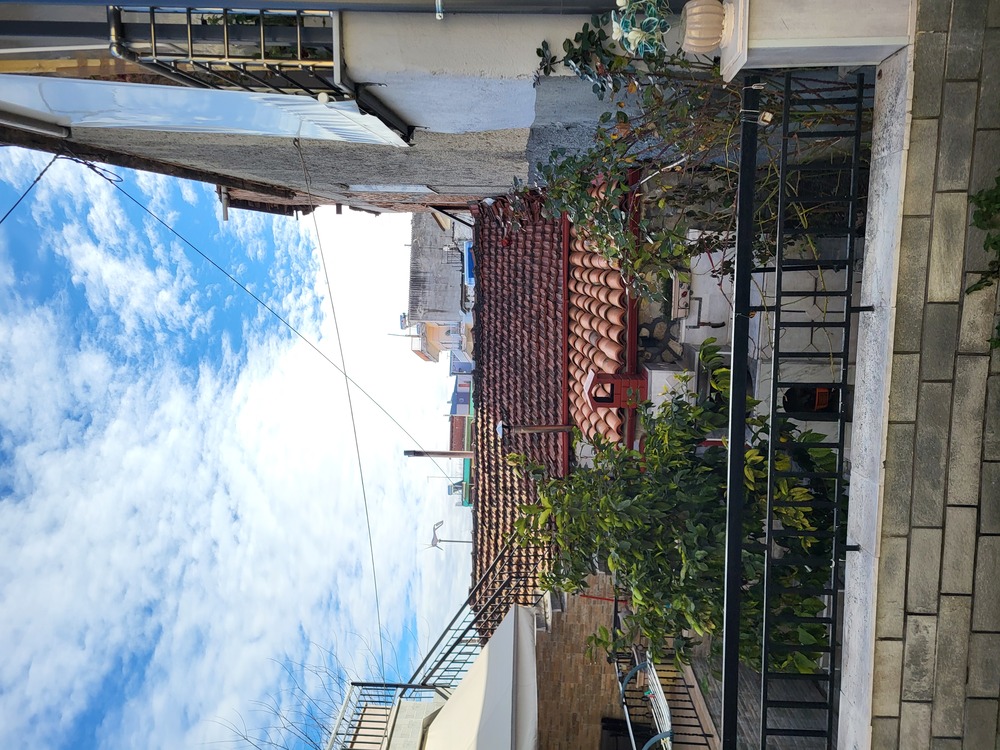 Οικόπεδο με κτίσμα  σε πλειστηριασμό Municipality of Pella