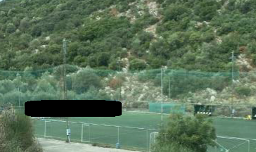 Αγροτεμάχιο 377.83 sq.m. σε πλειστηριασμό Municipality of Artaia