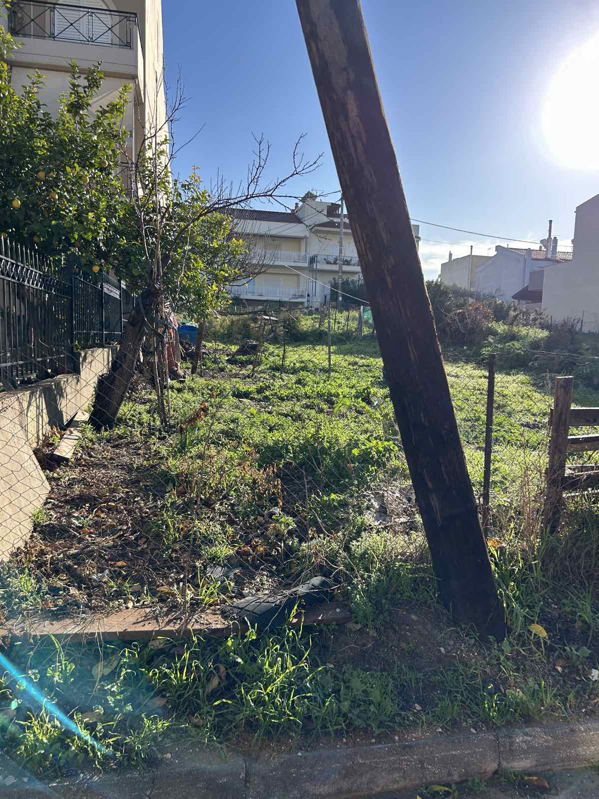 Οικόπεδο  σε πλειστηριασμό Municipality of Pallini