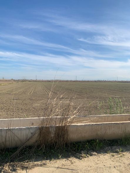 photo2