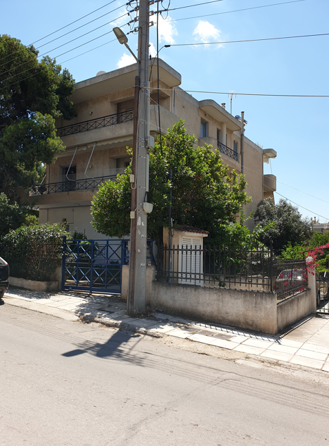 photo1