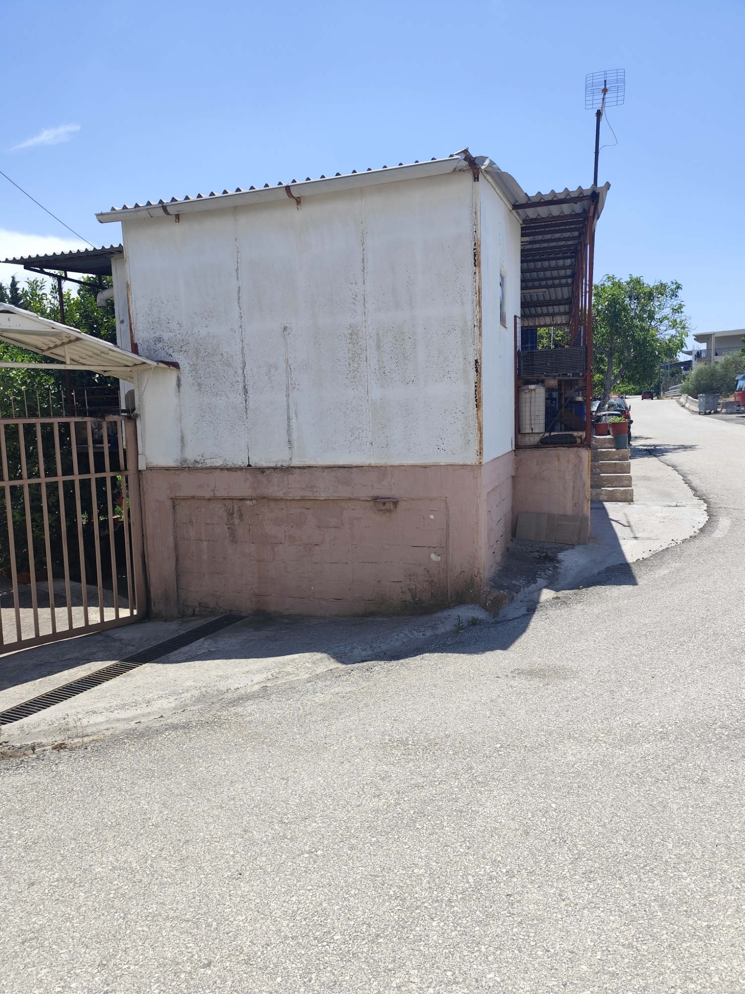 photo1