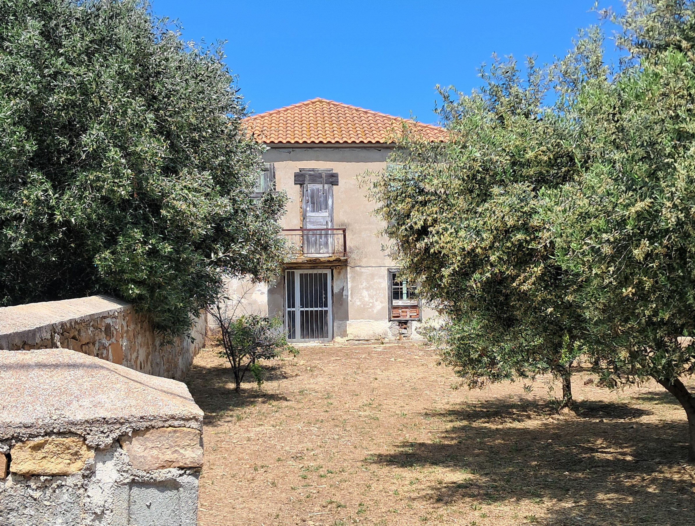 photo1