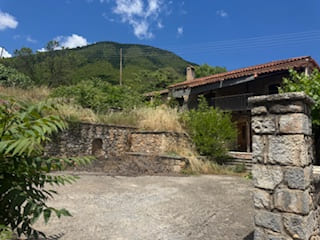 photo0