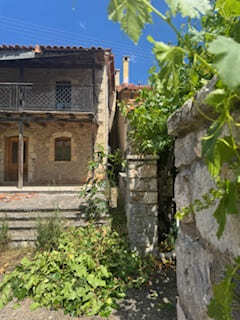 photo5