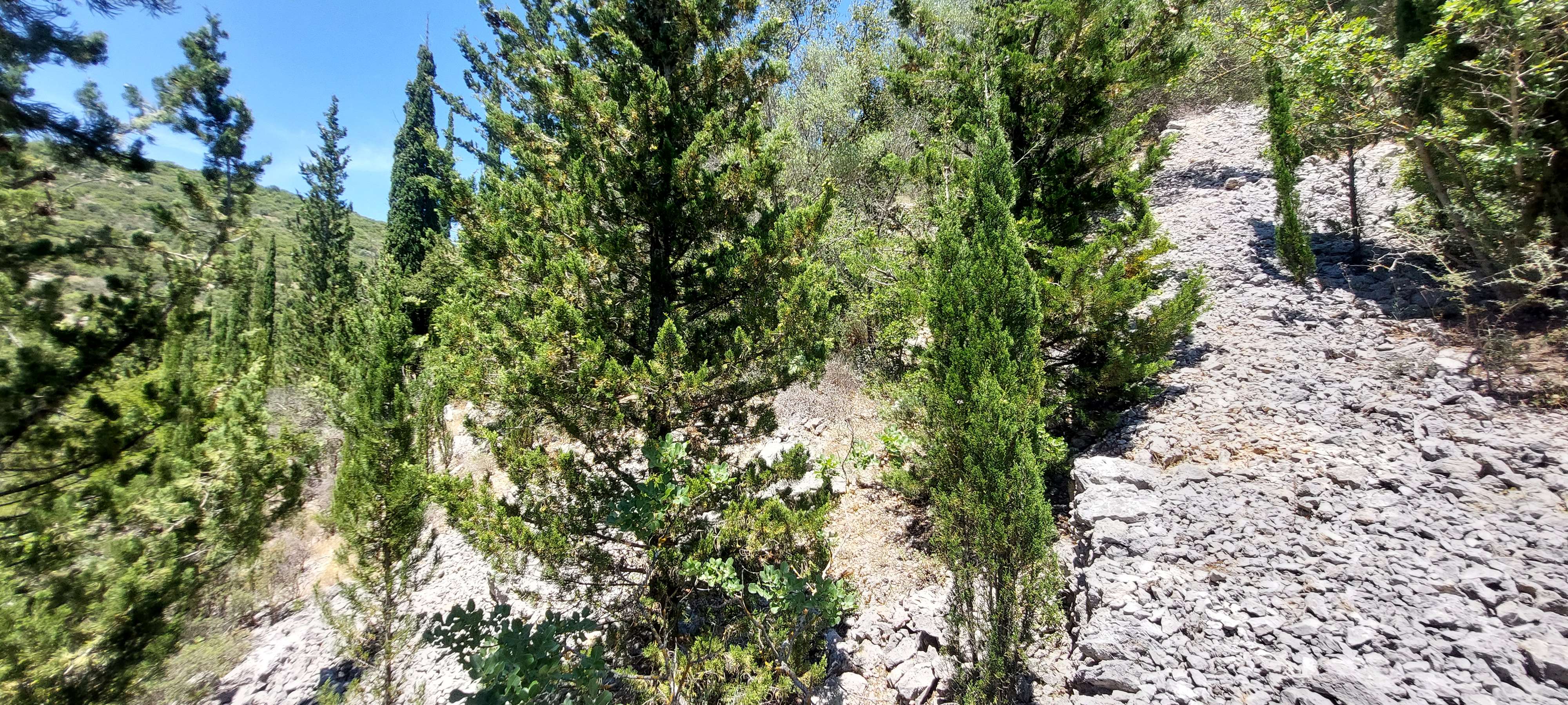 photo4