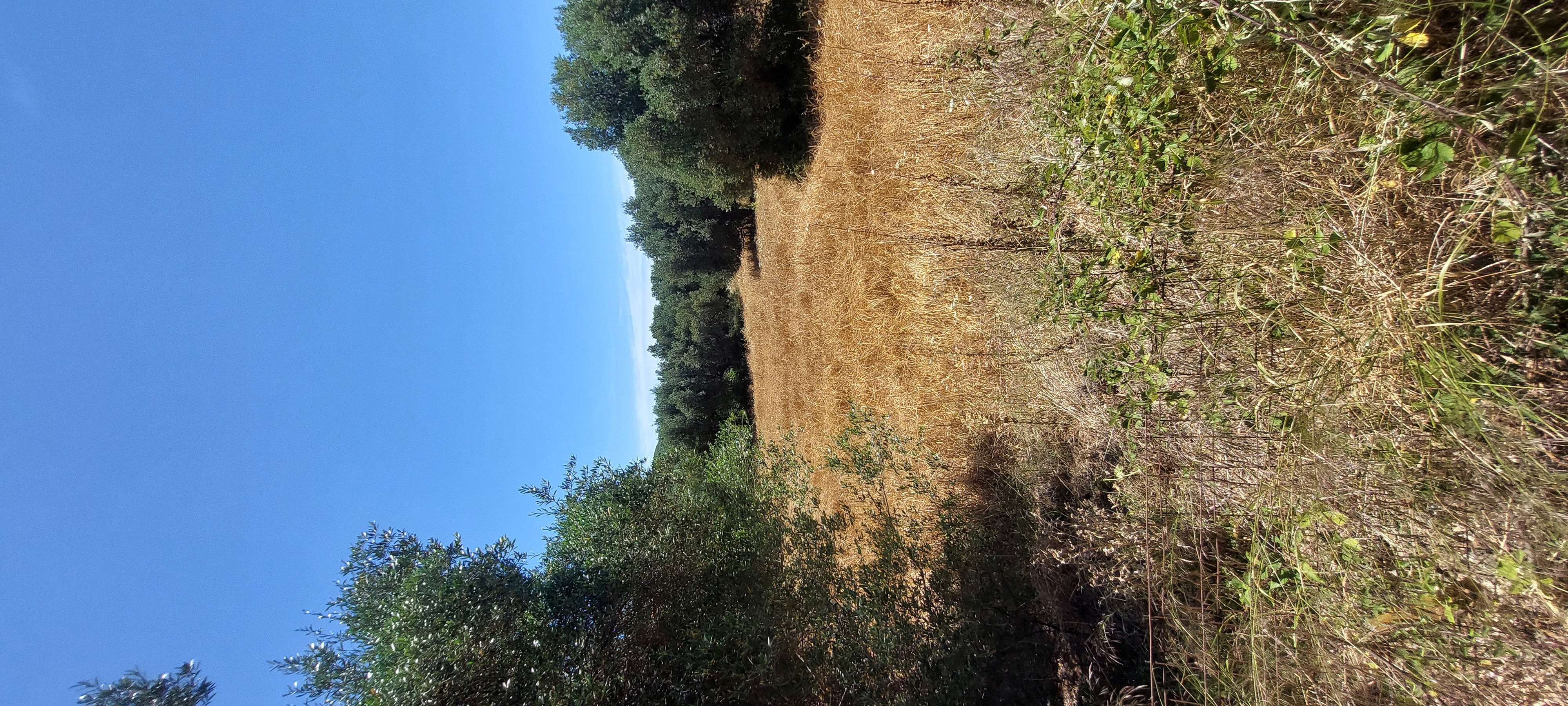 photo2