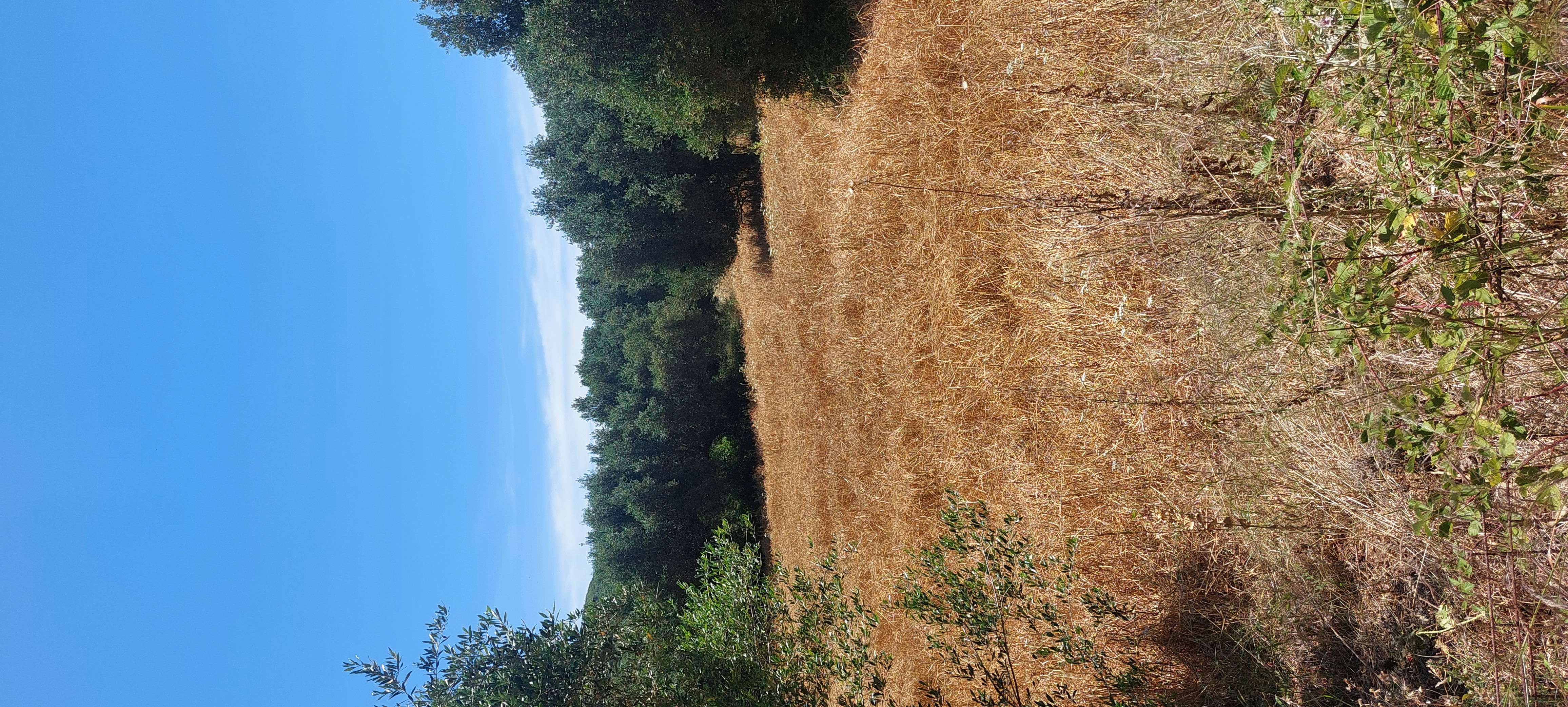 photo3