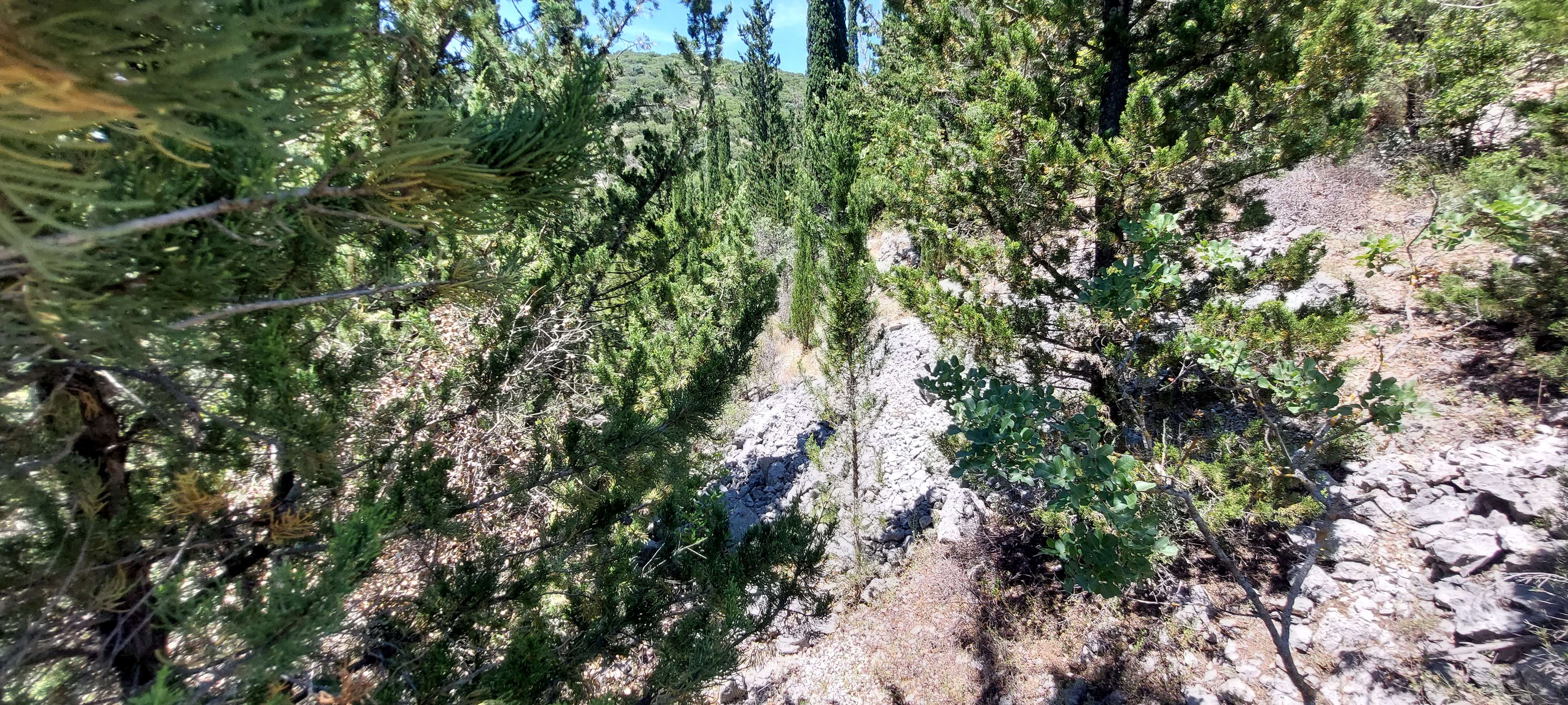 photo5