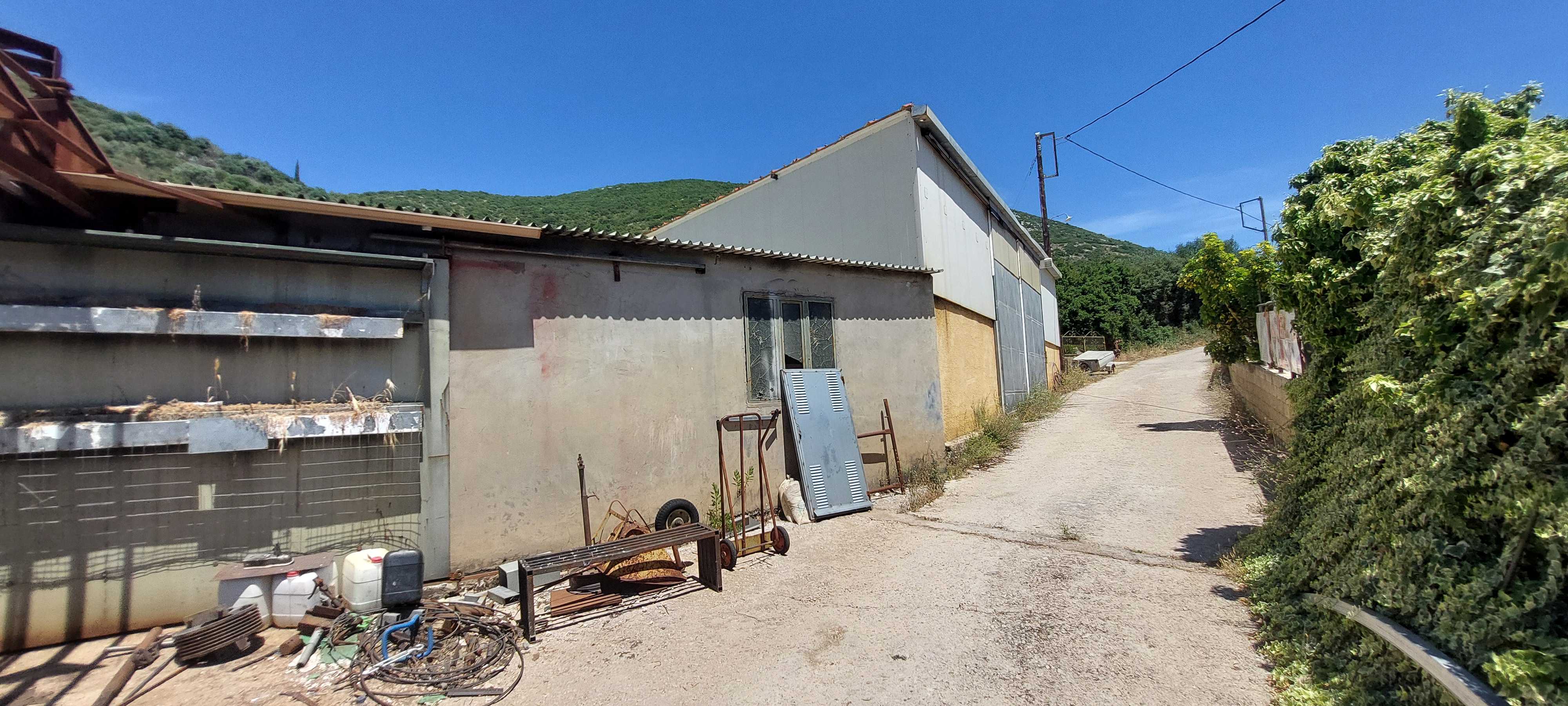 photomain