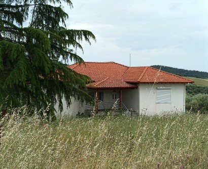 photo1