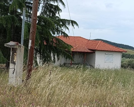 photo2