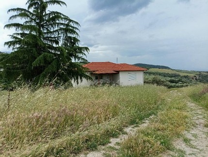 photo3