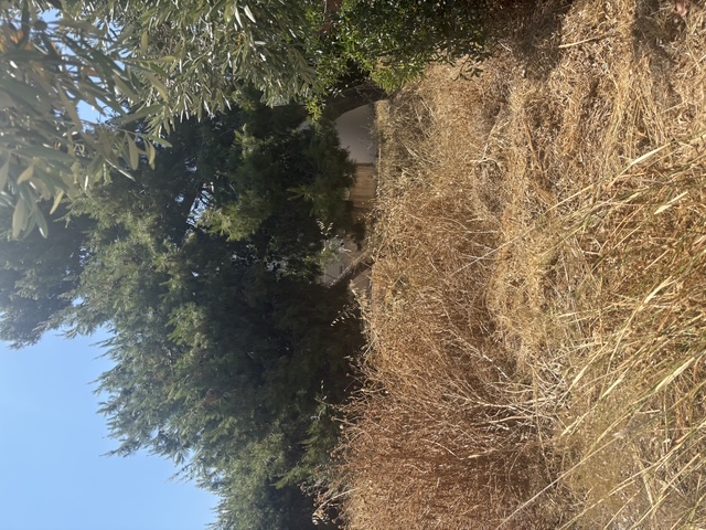 photo1