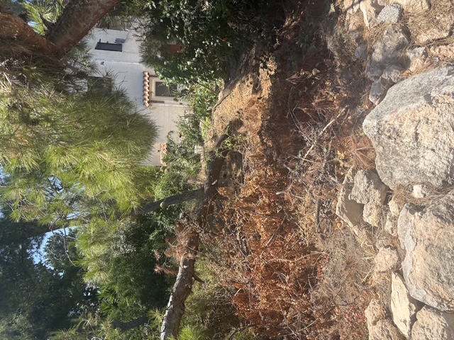 photo2