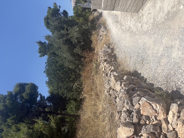 photo3