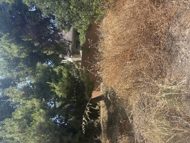 photo4