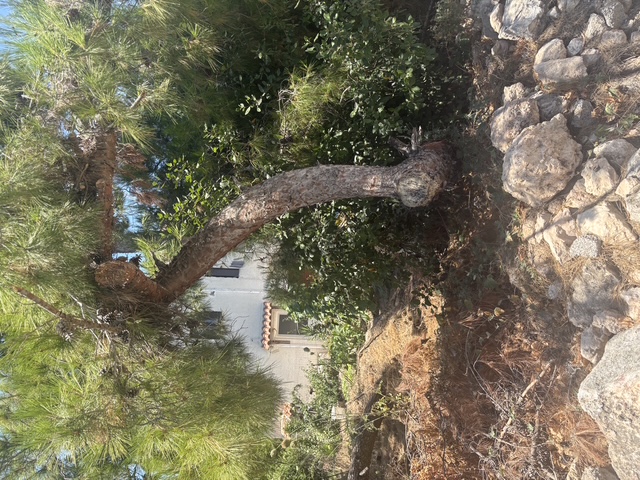 photo5