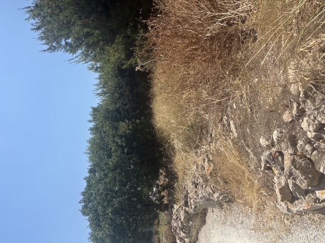 photo6