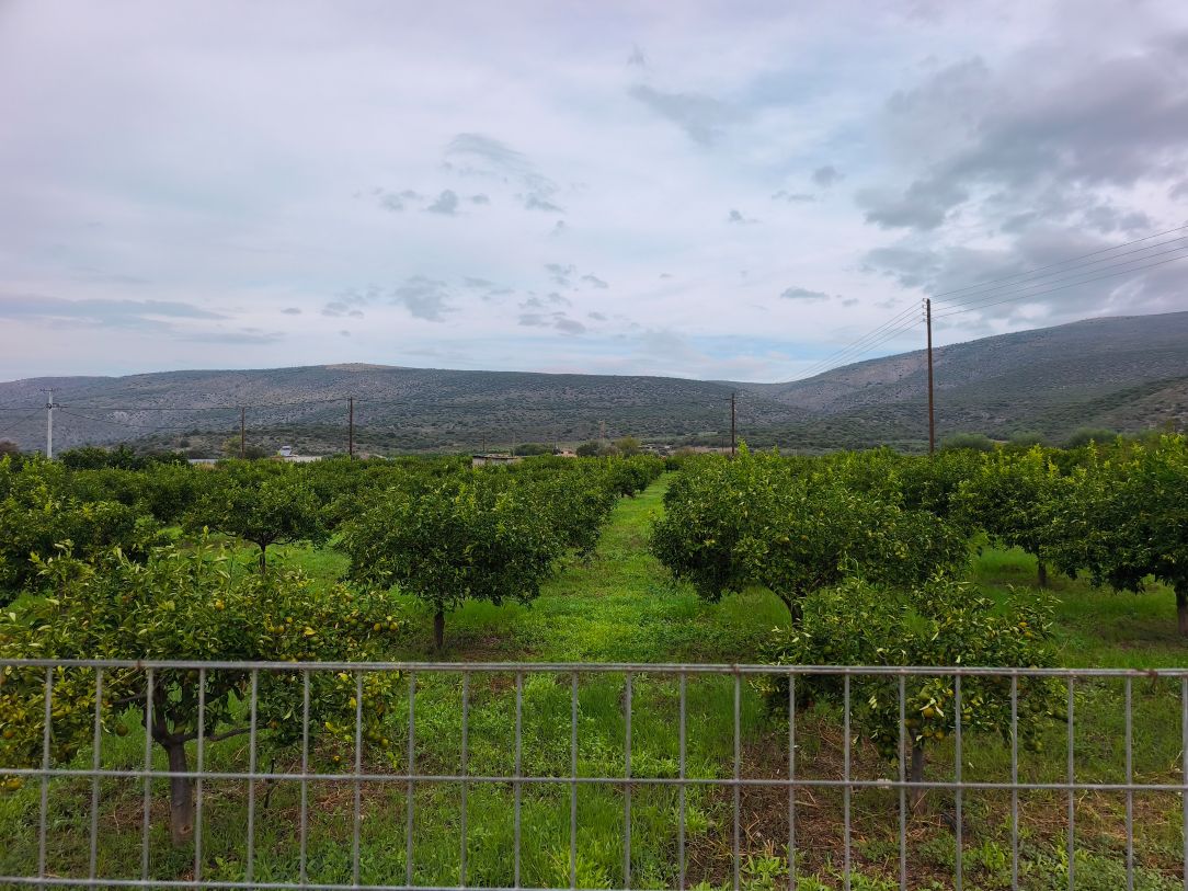 Αγροτεμάχιο 520 τ.μ. σε πλειστηριασμό Δήμος Ναυπλιέων