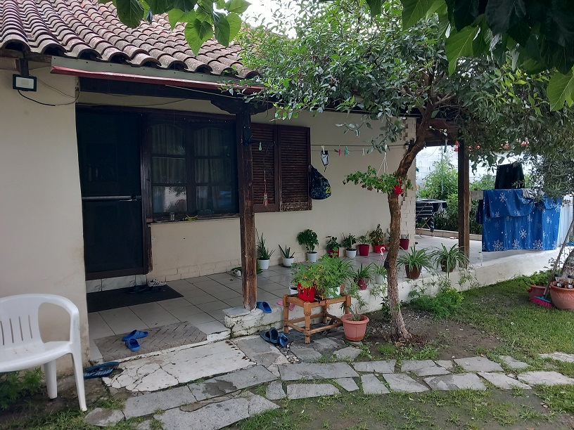 photo1
