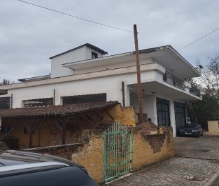 photo2