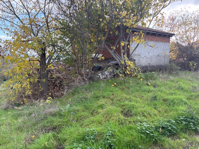 photo1