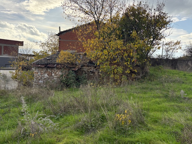 photo3