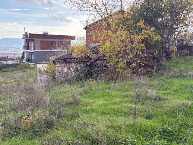 photo4