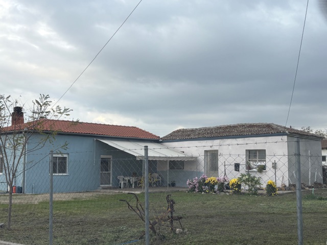 photo1