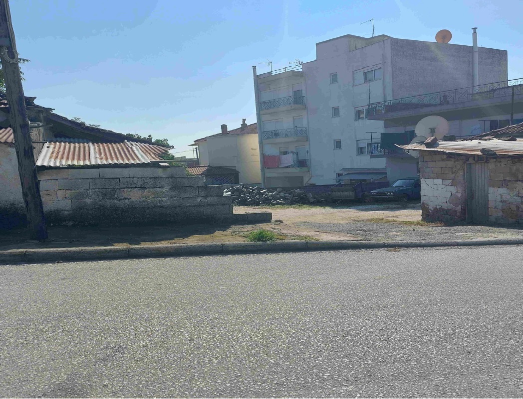 photo1